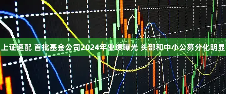 上证速配 首批基金公司2024年业绩曝光 头部和中小公募分化明显