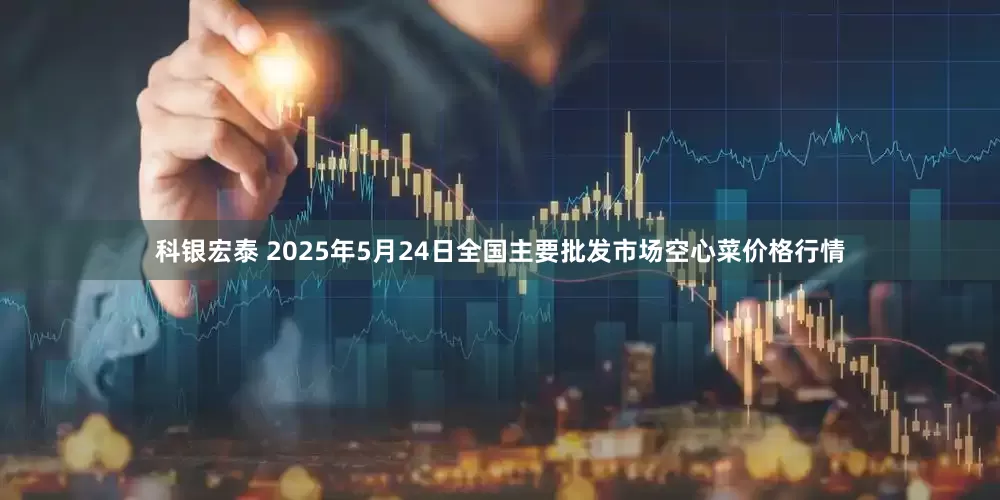 科银宏泰 2025年5月24日全国主要批发市场空心菜价格行情