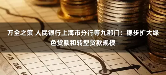 万全之策 人民银行上海市分行等九部门：稳步扩大绿色贷款和转型贷款规模